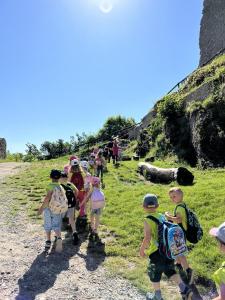 IMG 3739
