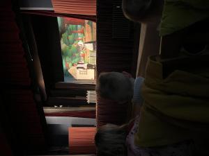 IMG 1329