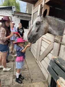 IMG 7963