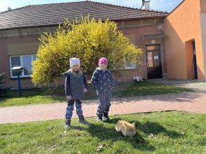 IMG 8970
