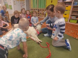 nasems fotogalerie foto-2