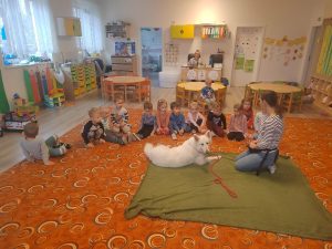 nasems fotogalerie foto-3