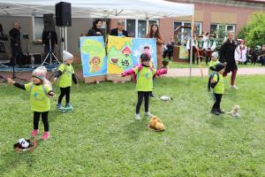 IMG 4424