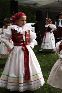 IMG 4508