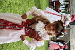 IMG 4510