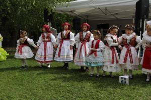 IMG 4541