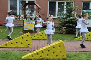 IMG 4550