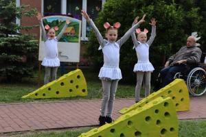 IMG 4552