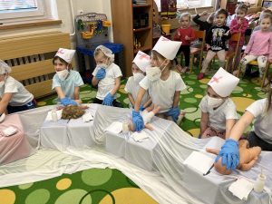 IMG 5071