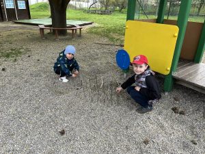 IMG 0164