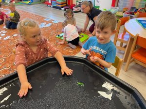 IMG 5983