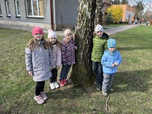 IMG 8208