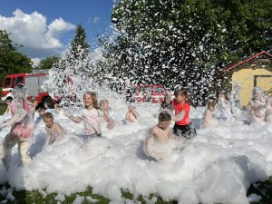 IMG 4568