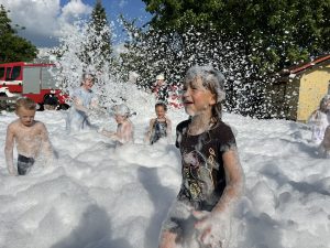 IMG 4571