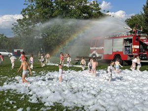 IMG 4595