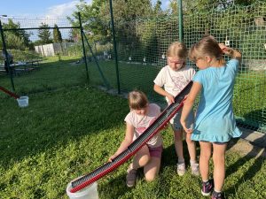IMG 4731