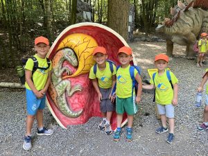IMG 5542