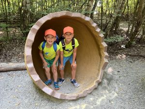 IMG 5556