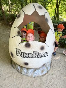 IMG 5749