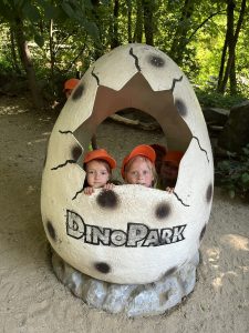 IMG 5753