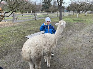 IMG 7145