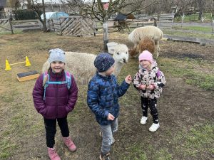 IMG 7180