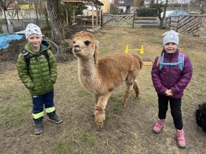 IMG 7190