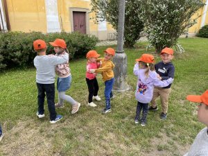 IMG 3243